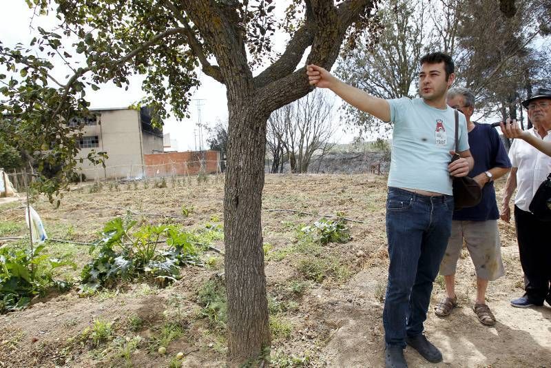 Imágenes del incendio en Alcañiz