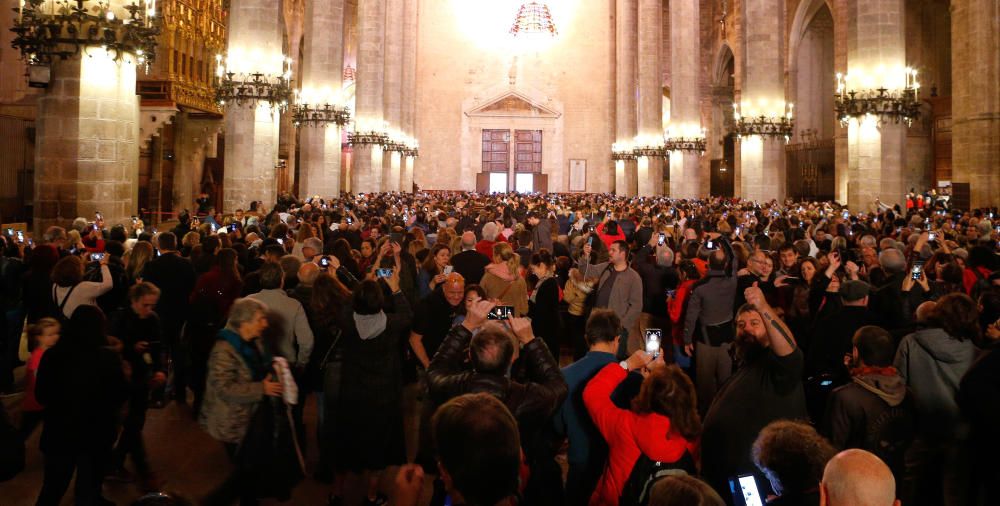 Unas 2.400 personas contemplan el Vuit de la Seu