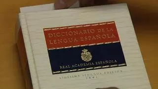'Mamitis', 'micromachismo' o 'portuñol', entre las novedades del diccionario 'online' de la RAE