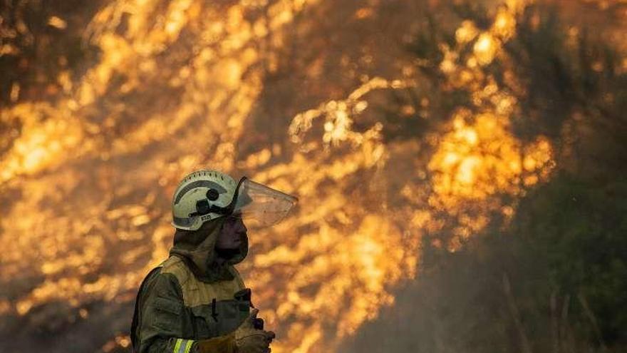 Un efectivo ante las llamas, en Flariz, Monterrei. // Brais Lorenzo