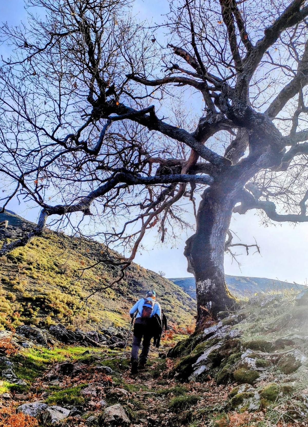 Imagen de una ruta pasada.