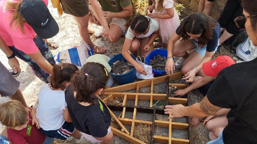 Impulso a la biodiversidad urbana en Sagunt
