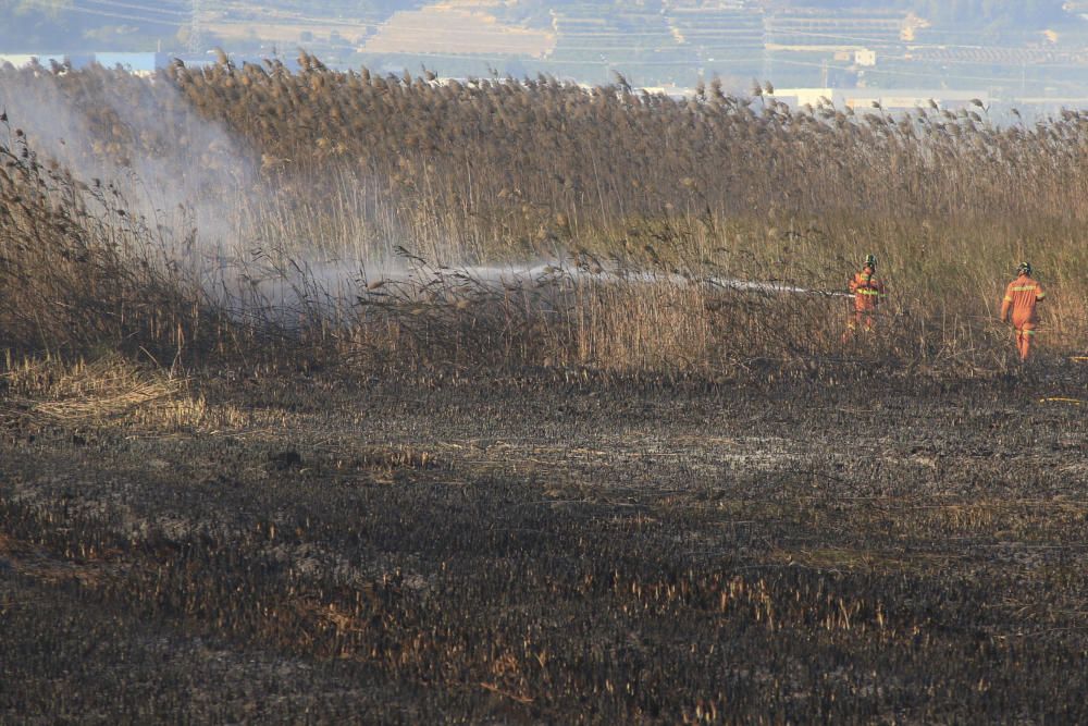 Incendio en el marjal de Gandia