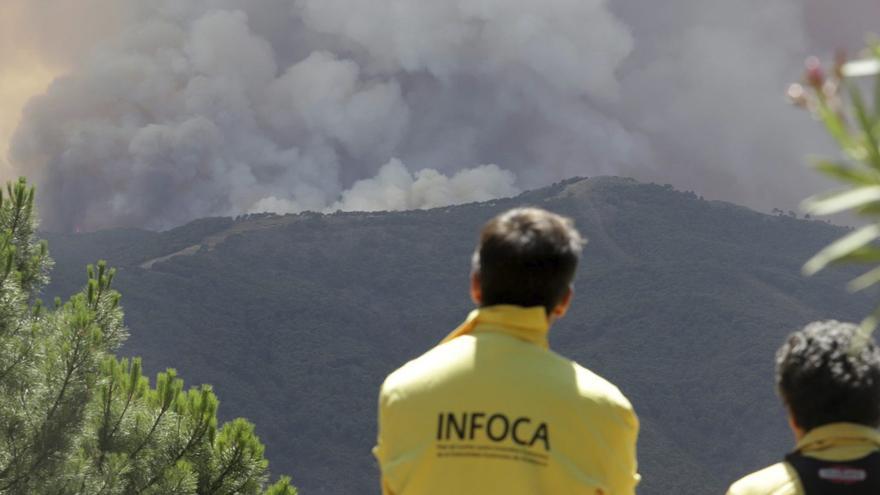 Los ganaderos alertan del riesgo de incendios en zonas de al