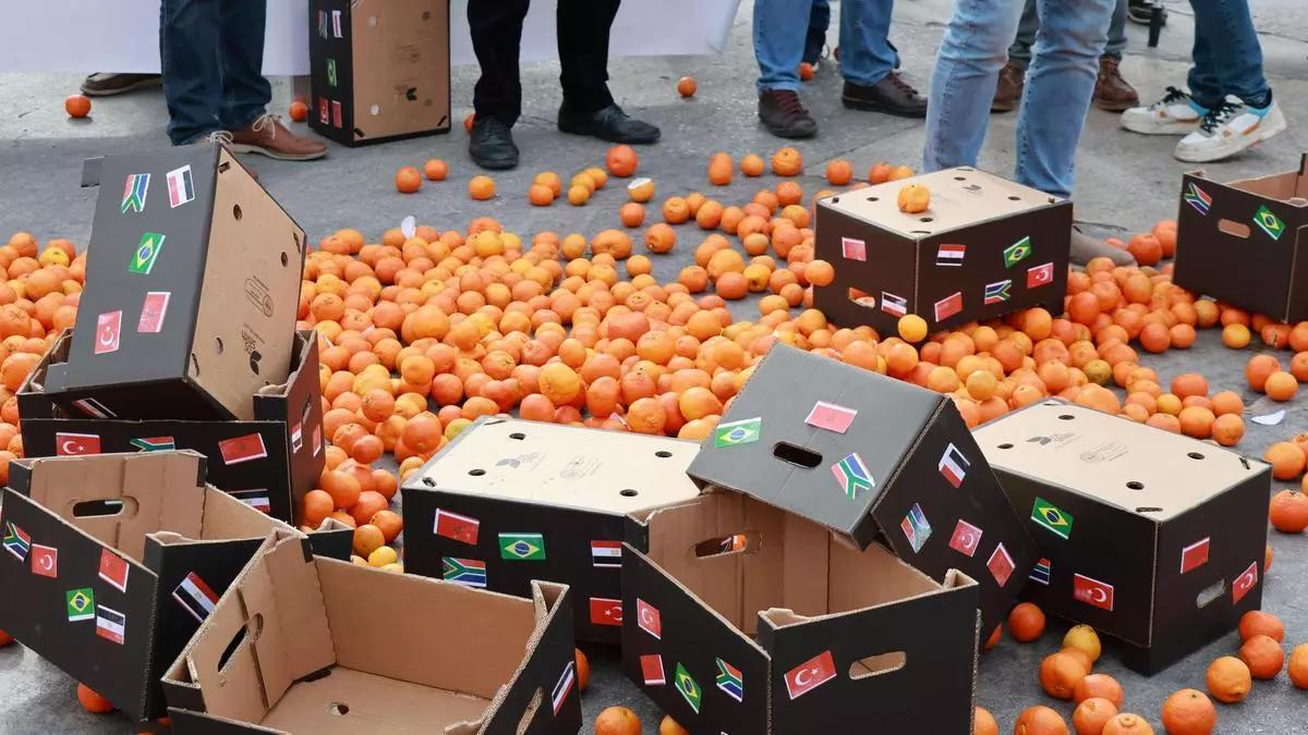 Agricultores tiran naranjas al suelo en protesta por la entrada de fruta foránea, el pasado febrero en Castelló.