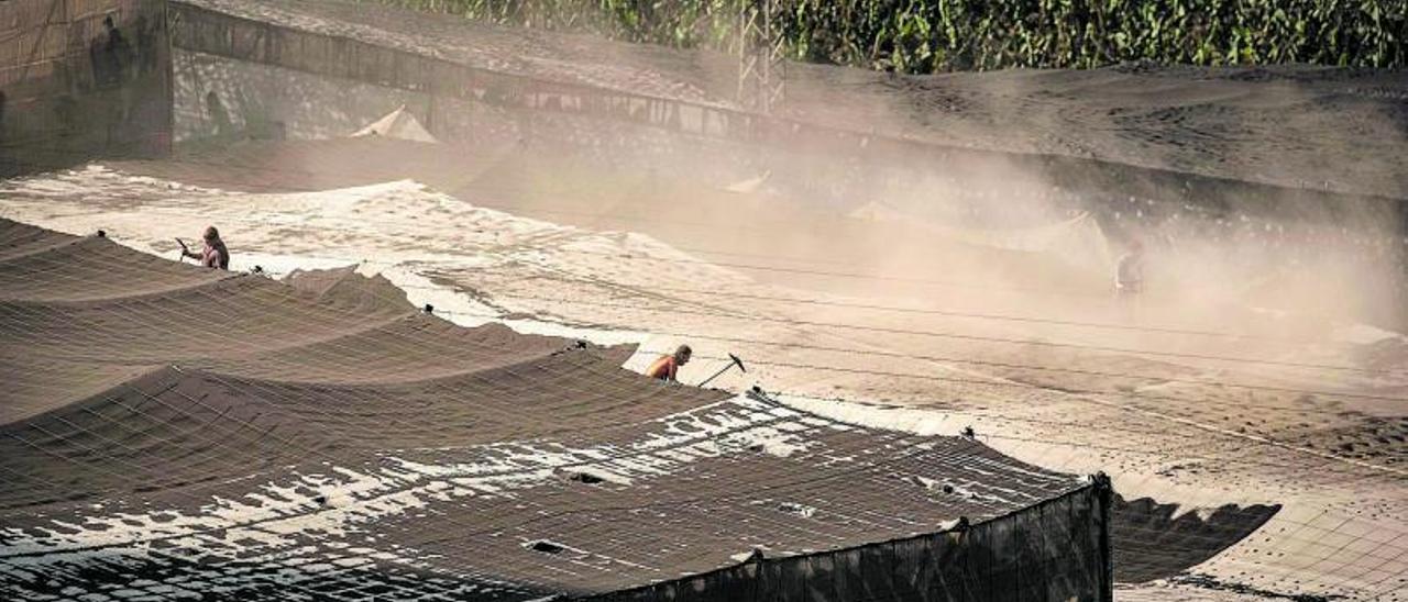 Los productores de plátanos trabajan a destajo para intentar salvar las infraestructuras de las plantaciones, cargadas de cenizas.