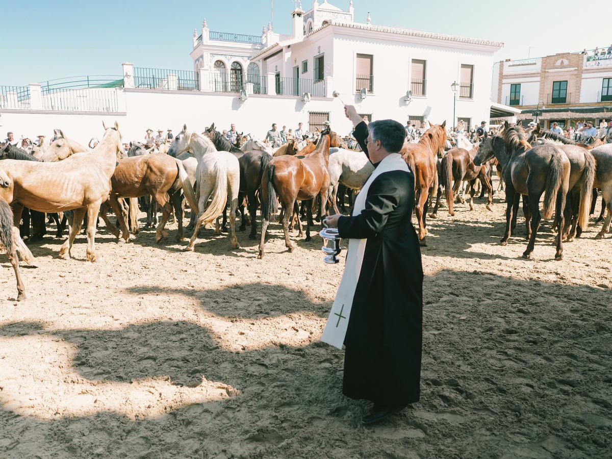 Bendición de las yeguas en El Rocío.