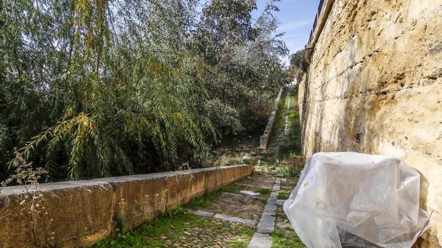 Imagen de vegetación y basura abandonada en el margen del río a su paso por Córdoba.