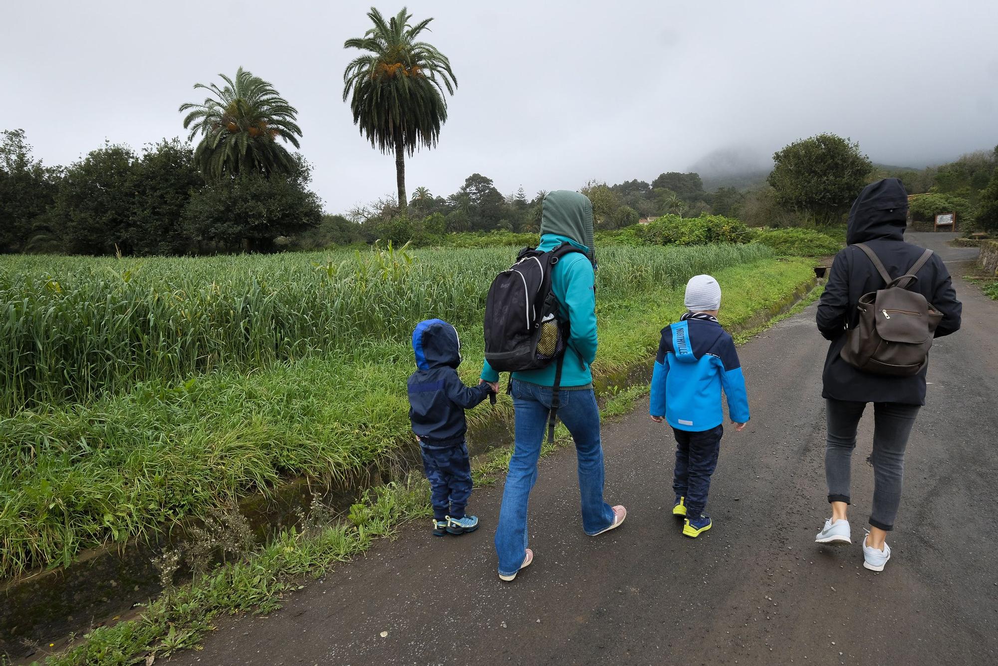 Las medianías de Gran Canaria tras las lluvias de enero