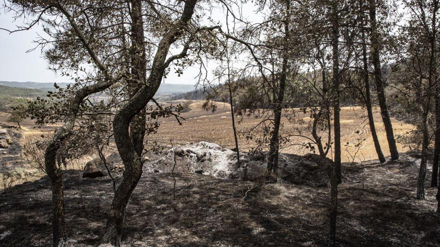 Un nou pla d’actuació en els incendis provoca un gran malestar a les ADF