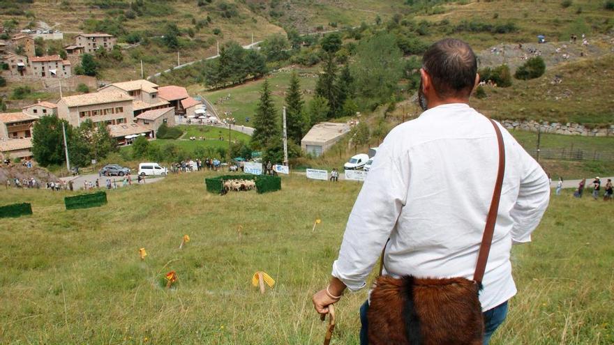 La tradició reviu un any més al Concurs de Gossos d'Atura de Castellar de n'Hug