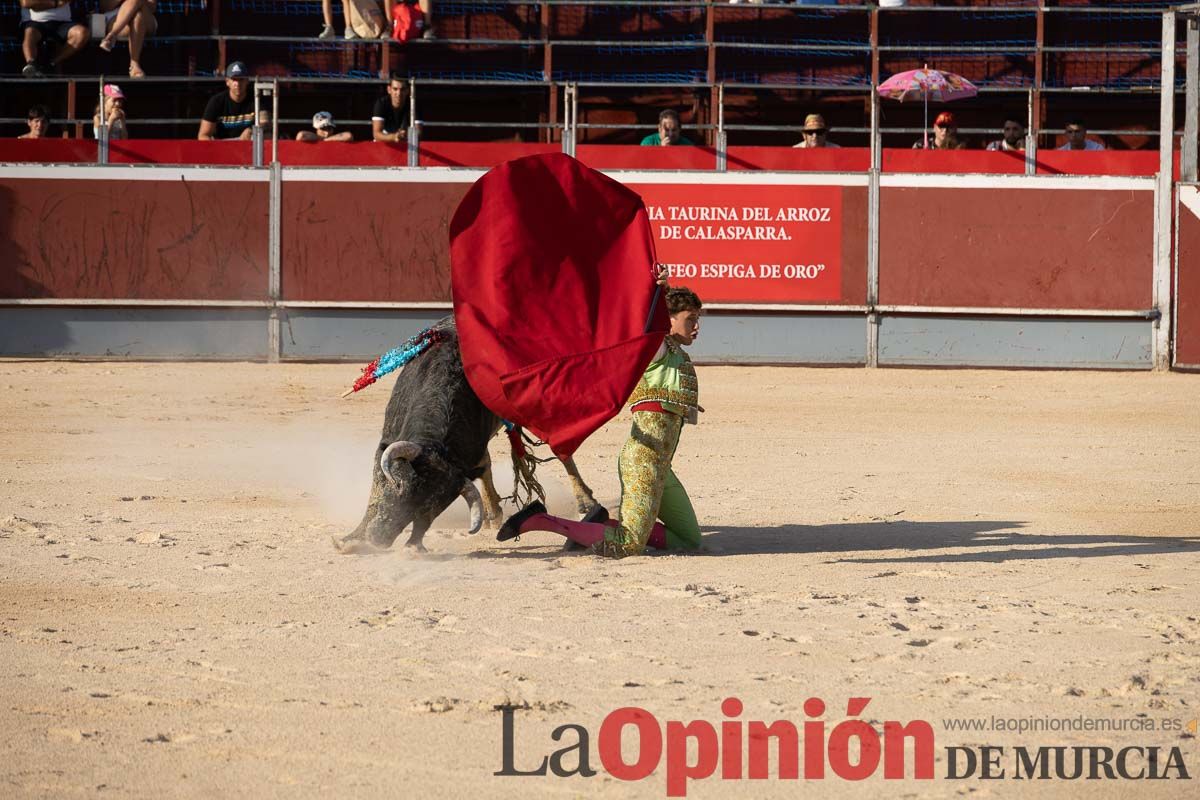 Festejo ‘Espiga de Plata’ en Calasparra