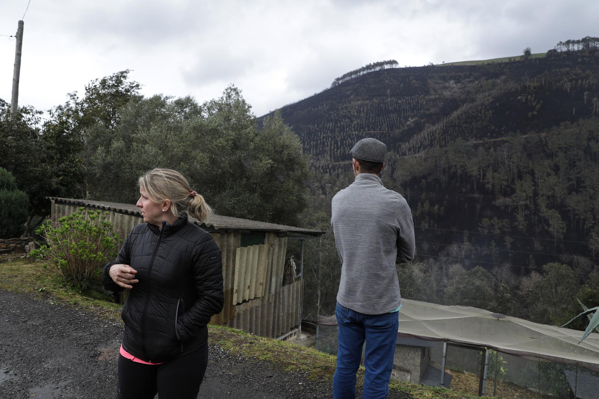 Trabajos de extinción de los incendios en Valdés