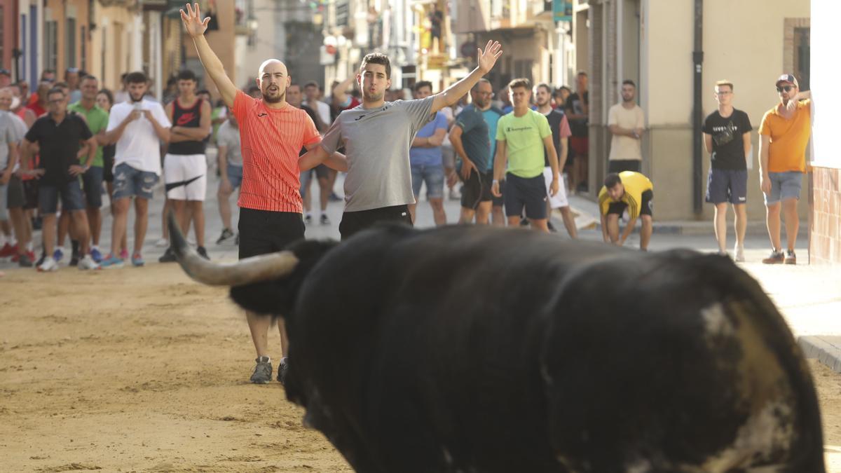 Imagen de archivo de un festejo de bous al carrer en Canet d’En Berenguer