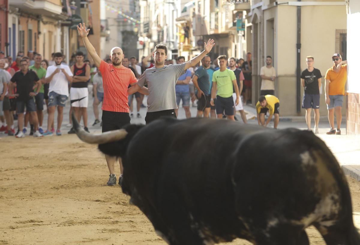 Imagen de archivo de un festejo de bous al carrer en Canet d’En Berenguer