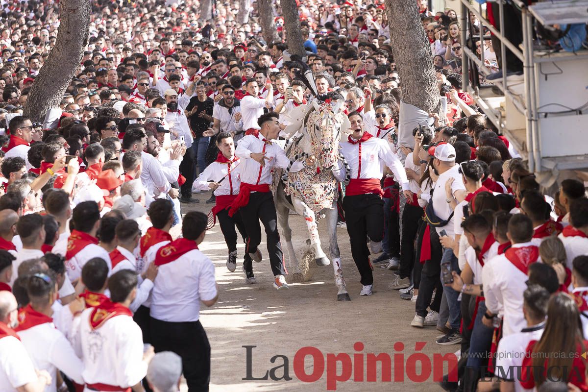 Así se ha vivido la carrera de Los Caballos del Vino en Caravaca
