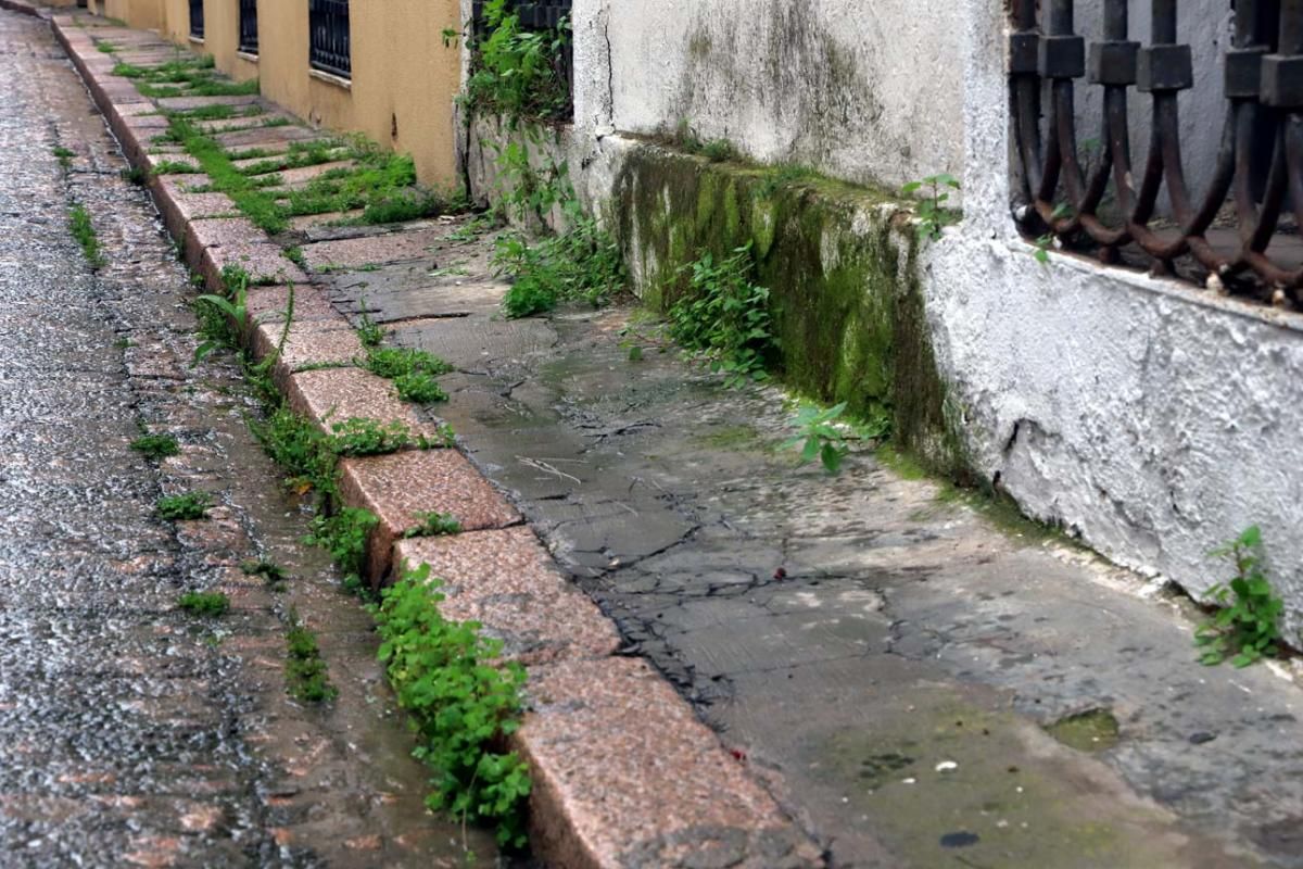 El día en el que reinó el verde