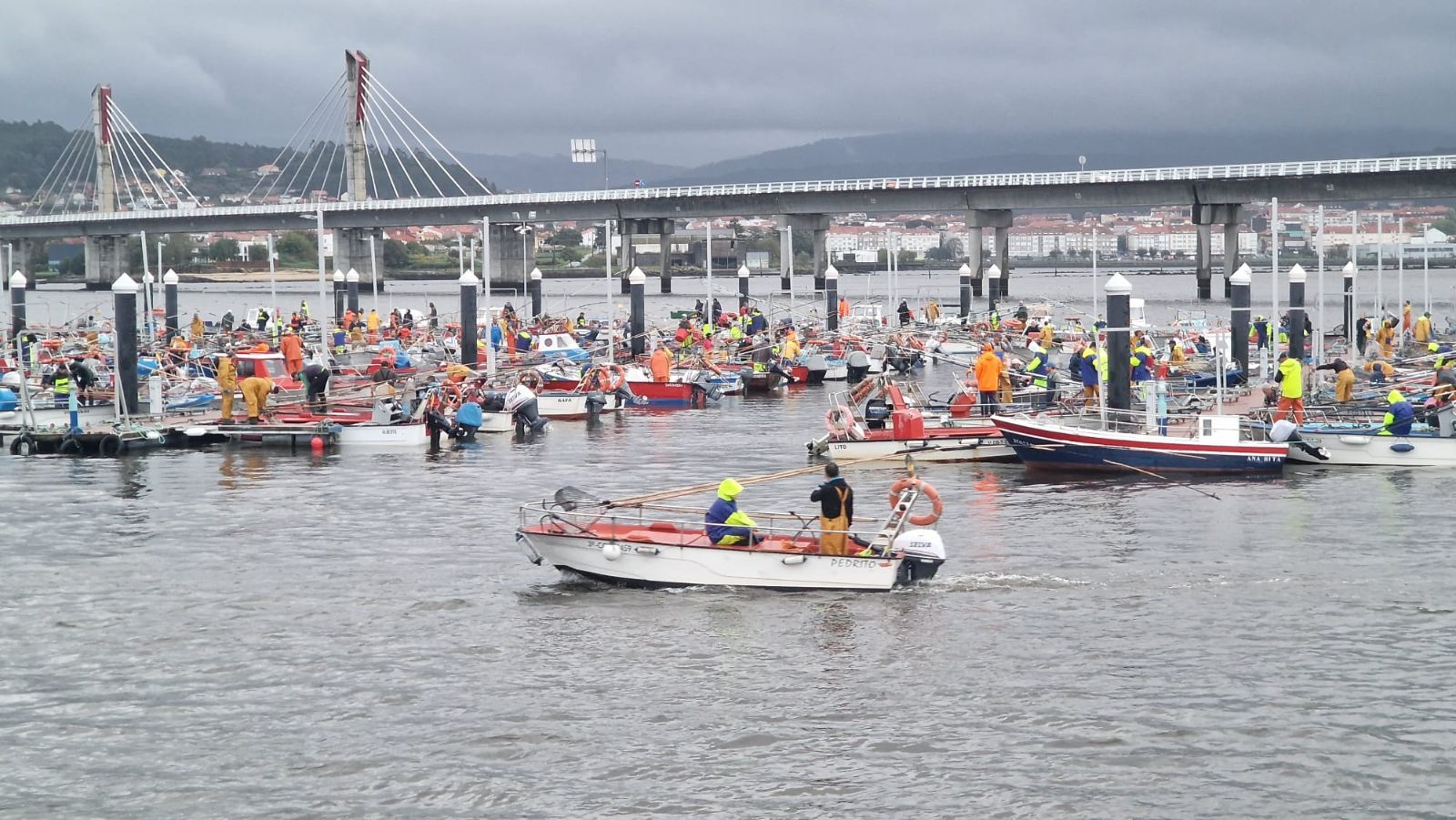 Así es el día a día en el puerto y la lonja de O Testal (Noia), donde cada vez se dan cita más mariscadores arousanos.