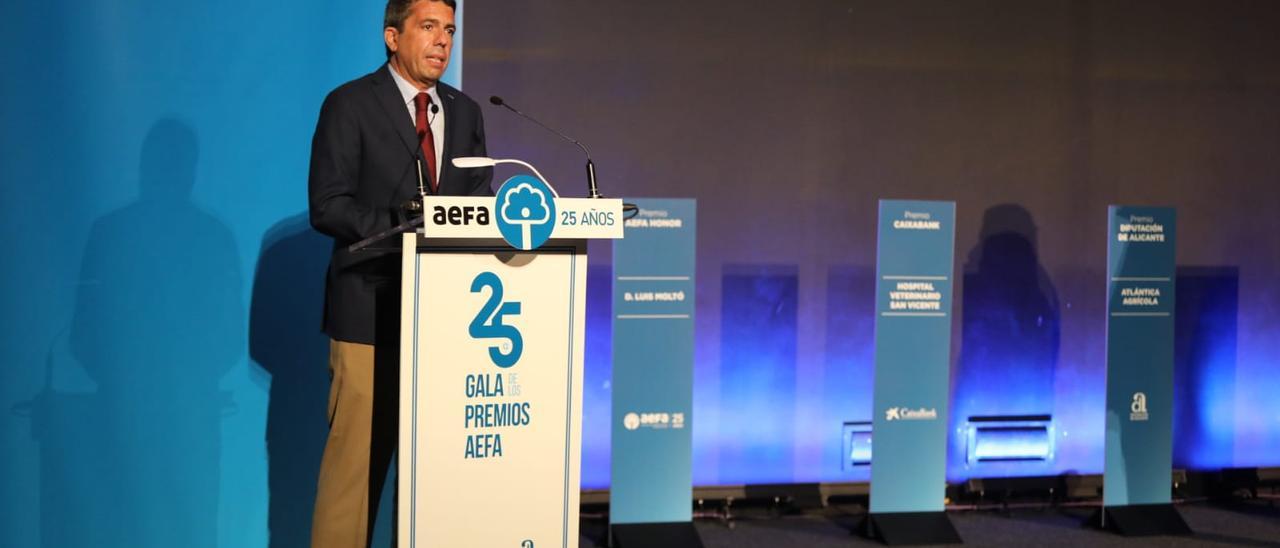 Carlos Mazón durante su intervención en el acto de Elche.