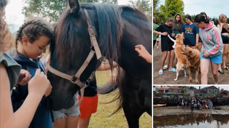Una excursión a La Isla de Tali, la mejor forma de despedir el curso desde A Guarda: ¡qué animalada!