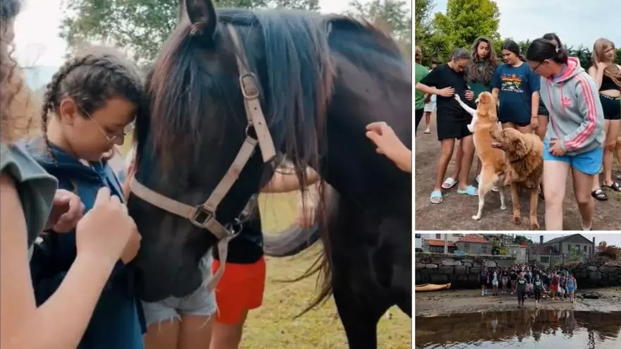 Una excursión a La Isla de Tali, la mejor forma de despedir el curso desde A Guarda: ¡qué animalada!