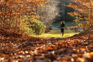 Una mujer corriendo por un parque. 