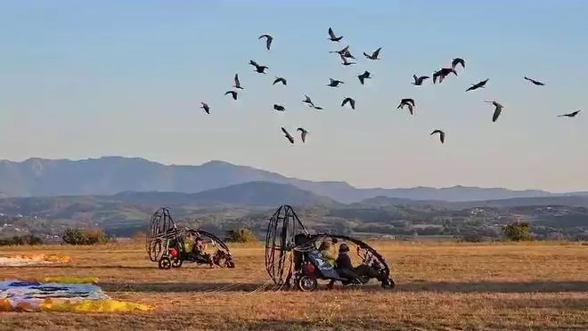L’aeroclub d’Ordis rep els ibis que aprenen a migrar amb ultralleuger travessant Europa