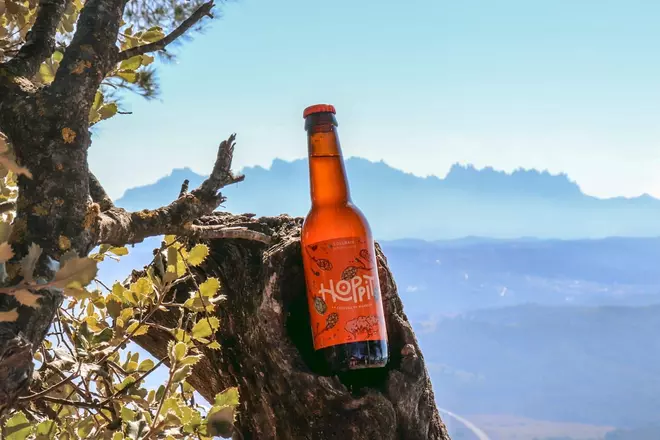 Cerveses Hoppit