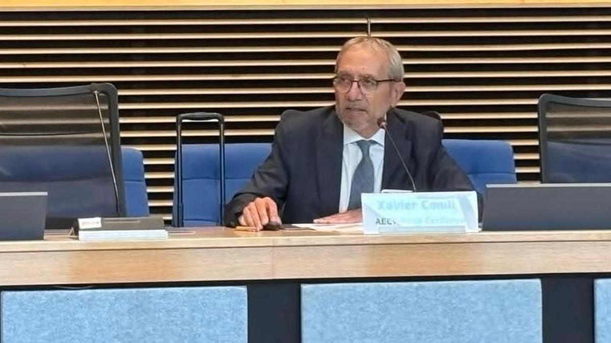 El director general de l'Hospital en la seva intervenció a la Comissió Europea