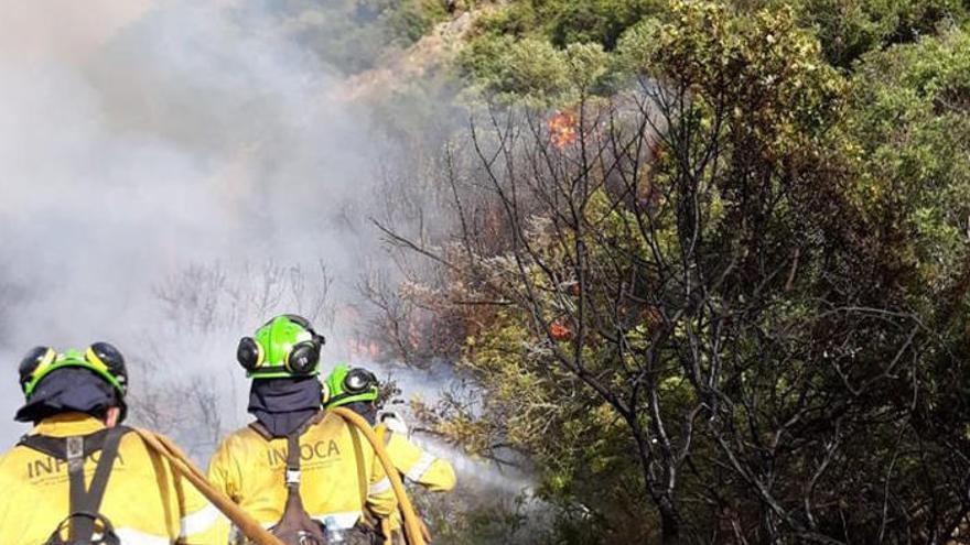 Personal del Infoca trabajando en el incendio declarado el sábado en Casares.