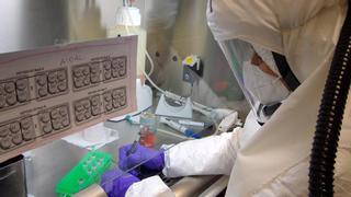 Coronavirus: el CSIC descubre una combinación de dos fármacos que consigue extinguir rápidamente el SARS-CoV-2