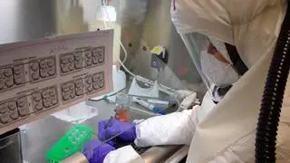 Coronavirus: el CSIC descubre una combinación de dos fármacos que consigue extinguir rápidamente el SARS-CoV-2