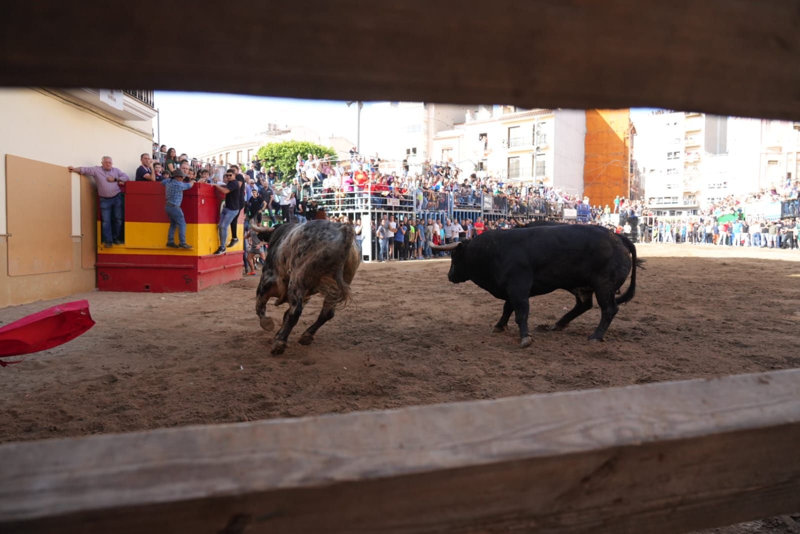 Las mejores imágenes del encierro de  Couto de Fornilhos y Santa Teresa en Onda