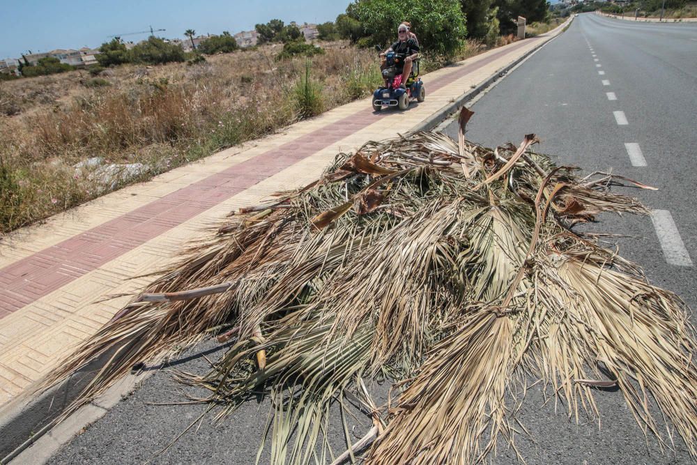 Deficiencias en Orihuela Costa