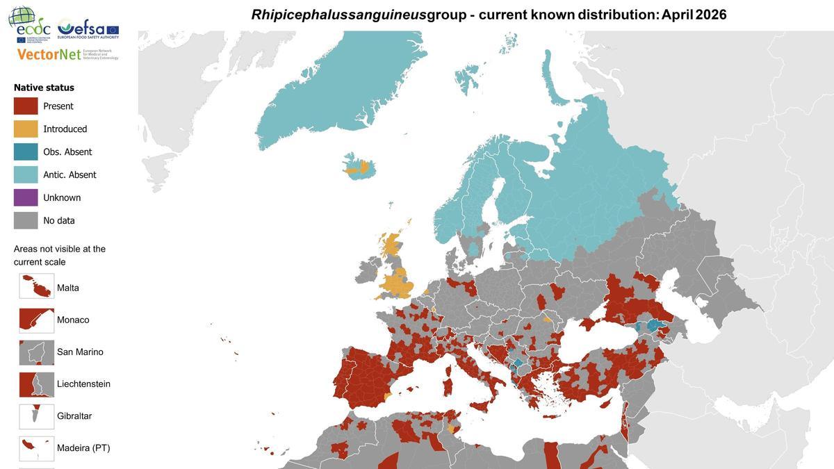 Mapa de la distribución actual conocida de 'Rhipicephalus sanguineus': abril de 2026.