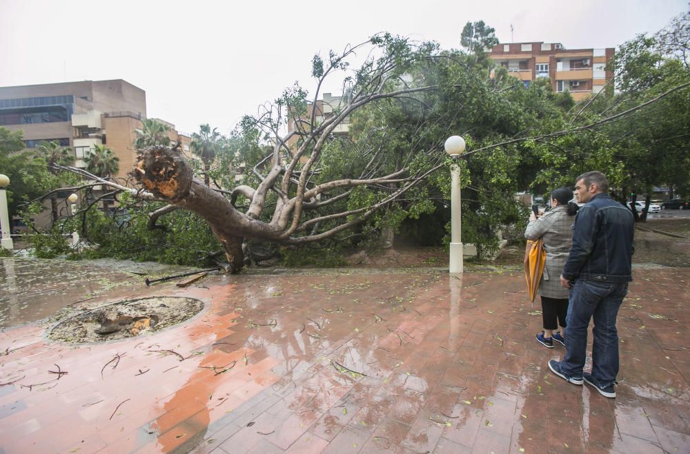 Destrozos de la gota fría en la provincia de Alicante.