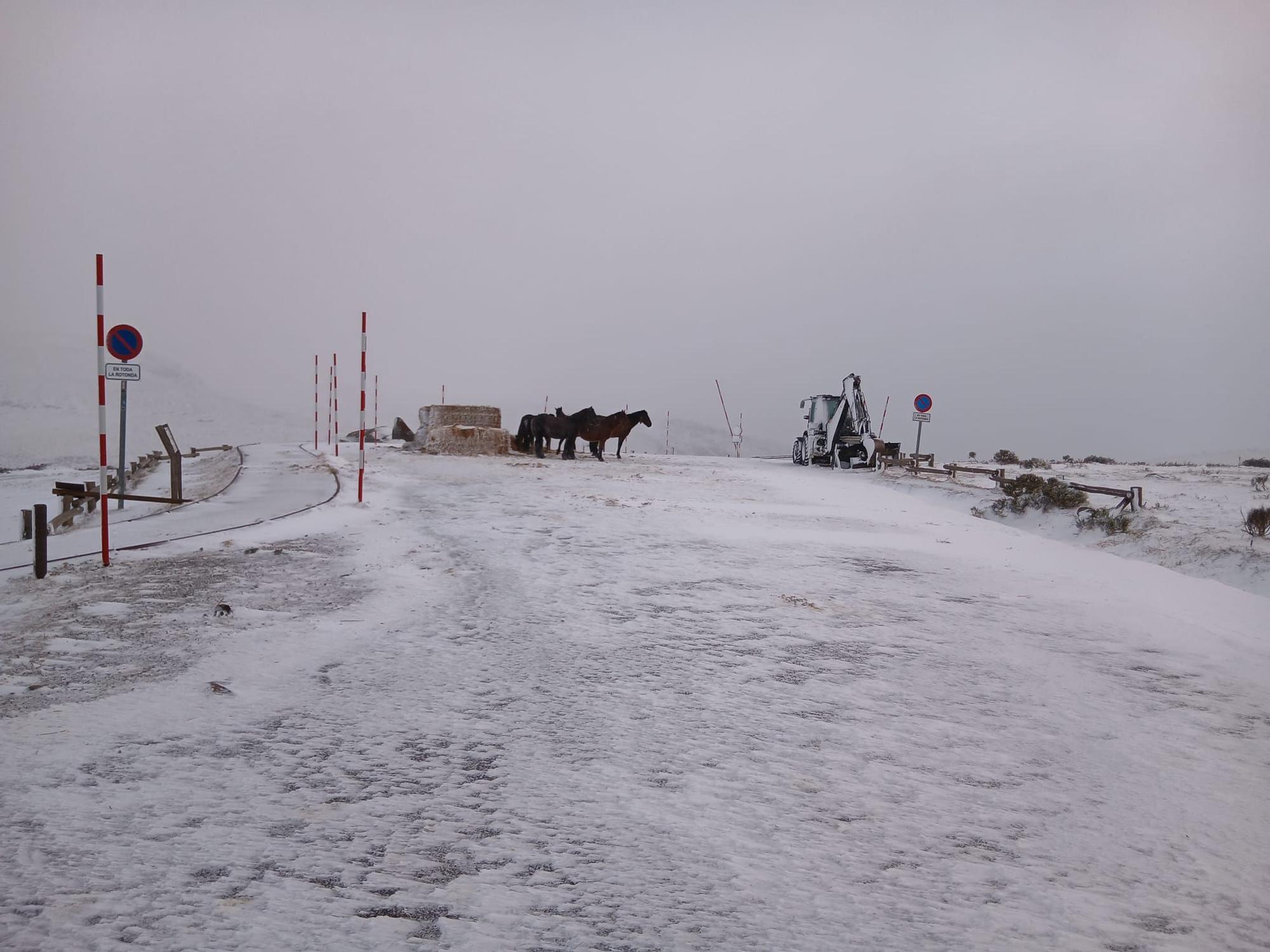 La nieve baja de cota en Sanabria y se acerca a San Martín de Castañeda