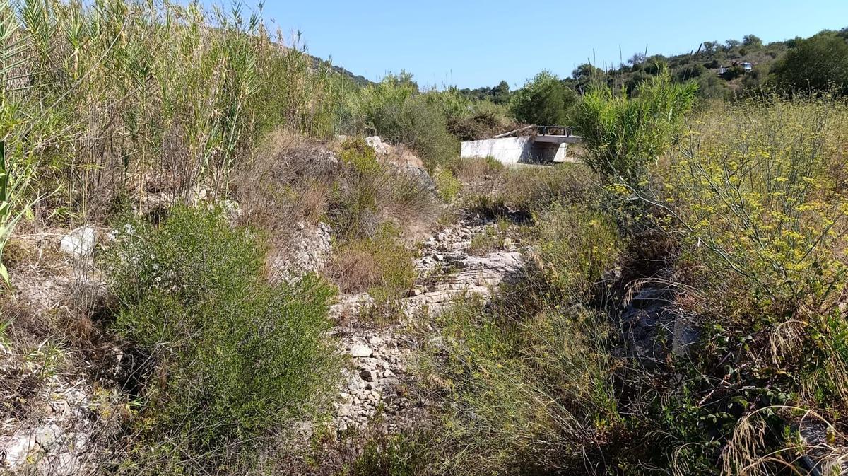 Limpieza en el torrent de ses Planes, en Sant Llorenç.