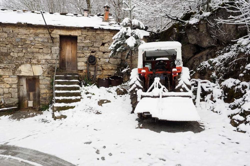 Un manto blanco de nieve cubre el interior de Lugo