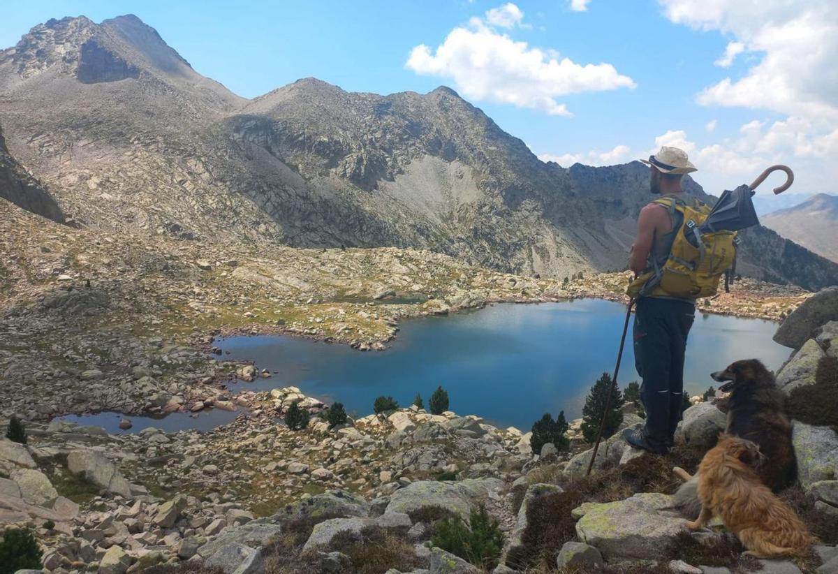 La iniciativa de pastoreo ha cumplido un año.