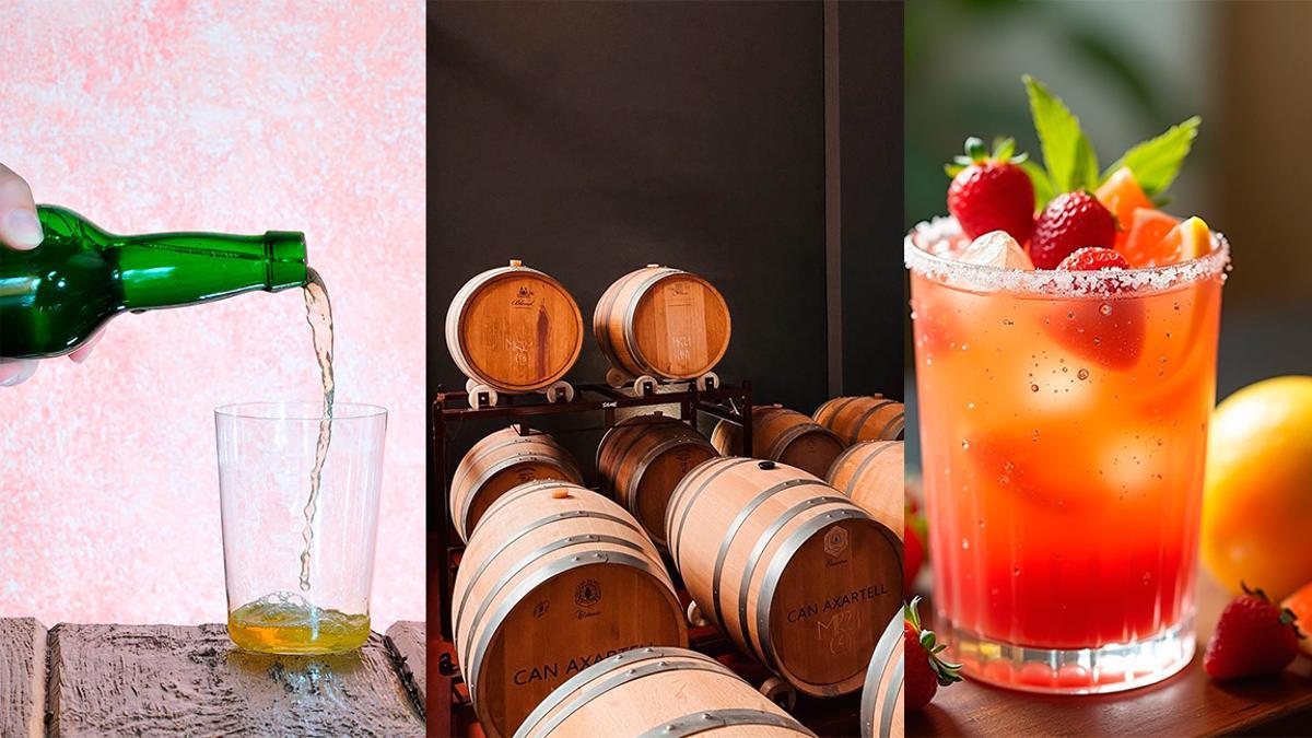 Vinos y bebidas - La selección de Mallorca Delicia