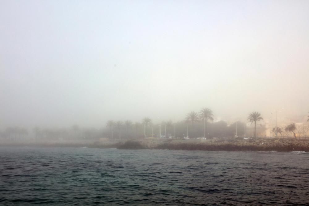 La niebla reaparece en Palma