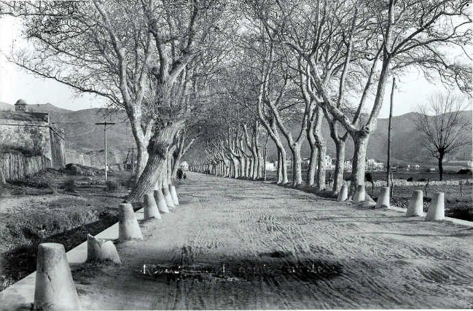 Carretera d’accés a Roses amb arbres a banda i banda i la muralla de la Ciutadella a l'esquerra (1911-1944)