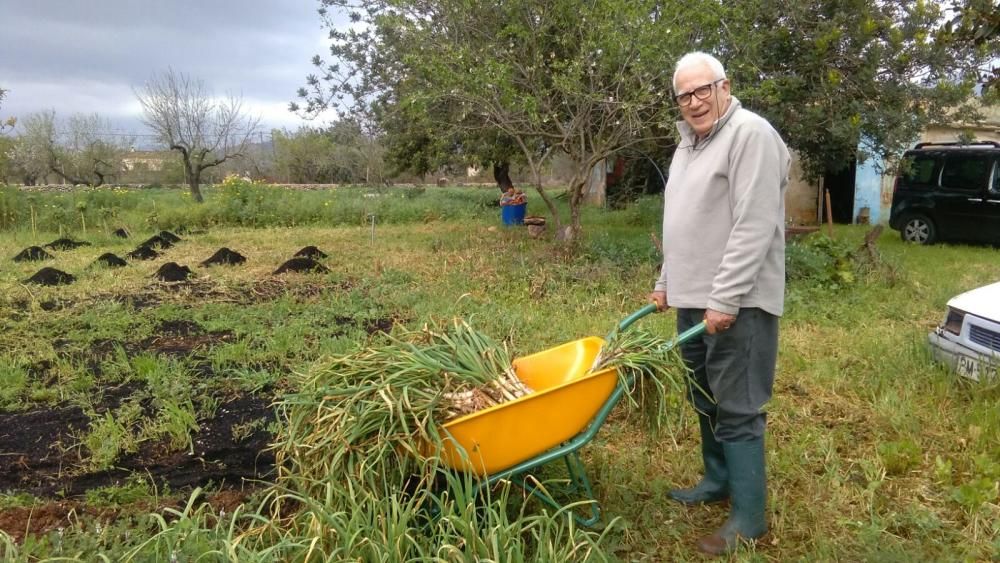 'Verdureta Dolça': La alquimista de los frutos de Mallorca