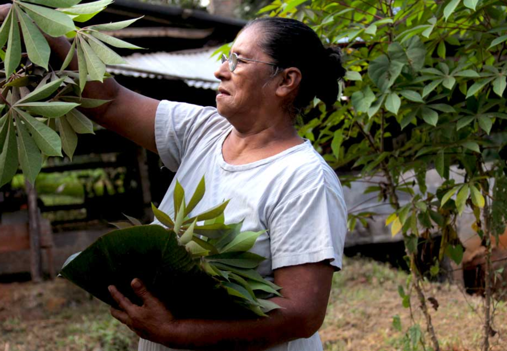 Pueblo indígena, Térraba, Costa Rica