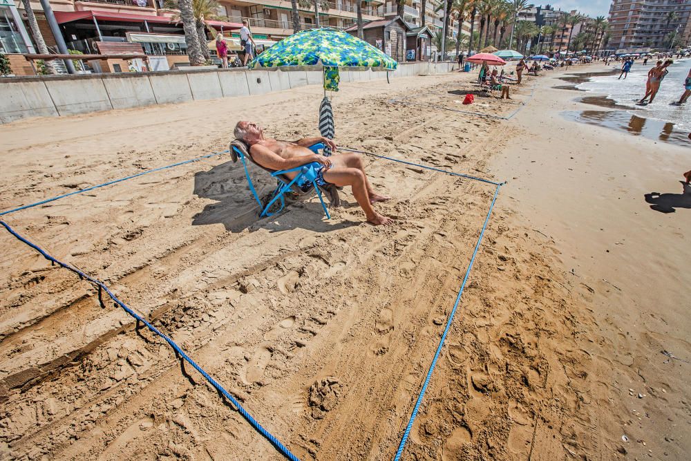 Primer día de baño autorizado en las playas de Torrevieja con arena parcelada y controles de acceso