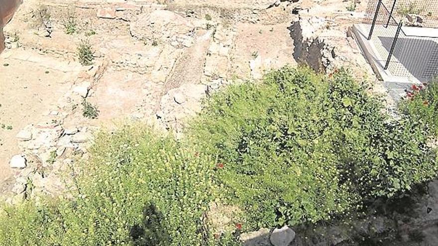 Advierten de que la vegetación daña el yacimiento de la alcazaba de Badajoz