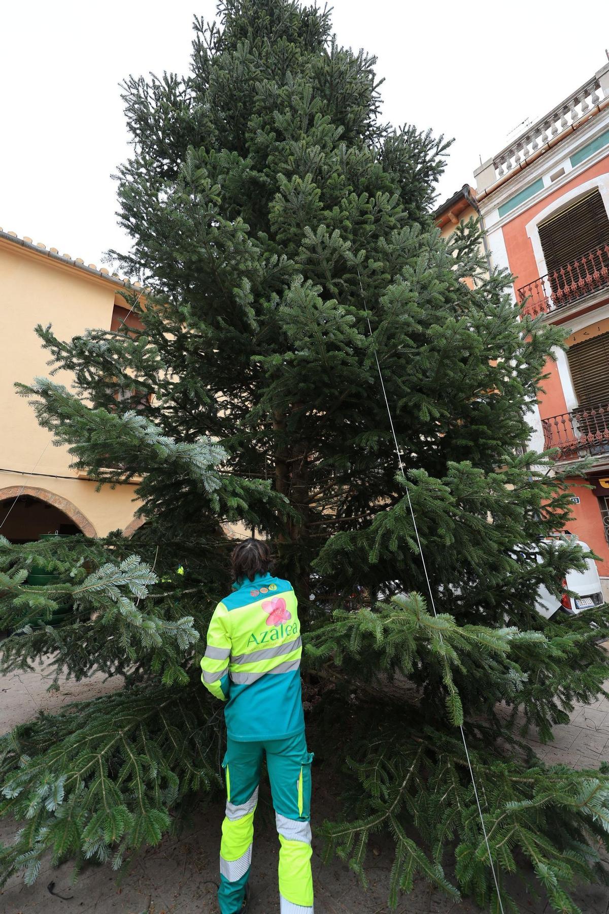 Fotogalería I Vila-real instala su árbol de Navidad más sostenible en la plaza de la Vila