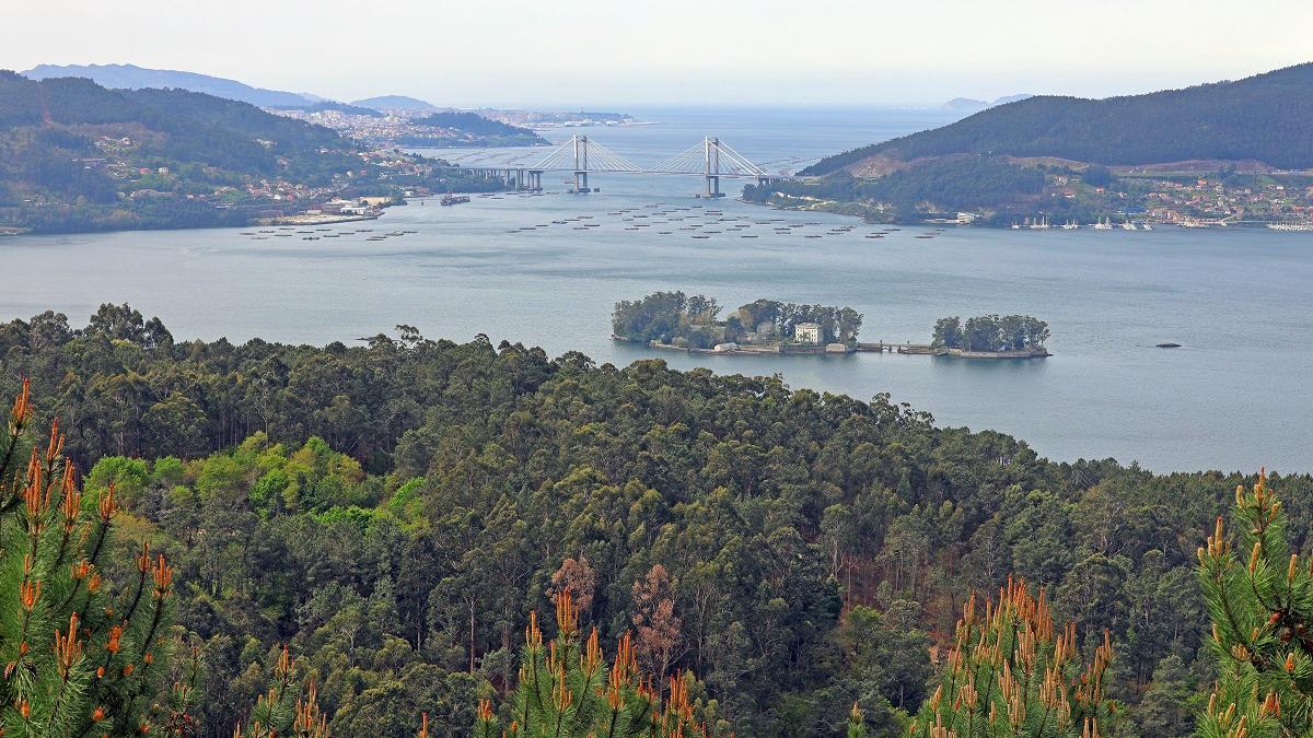 Vista de la ría de Vigo