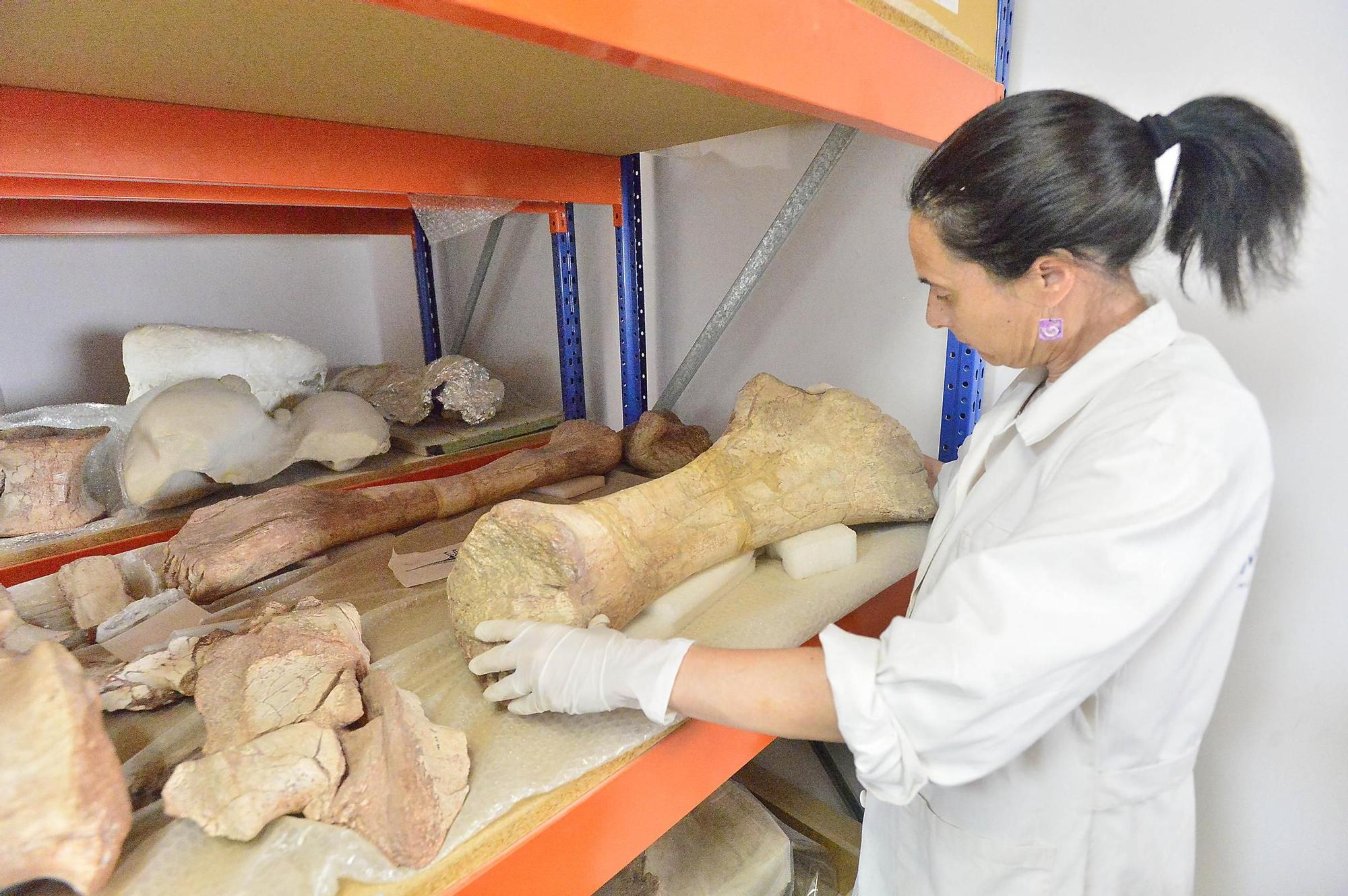 Fondos almacenados MUPE